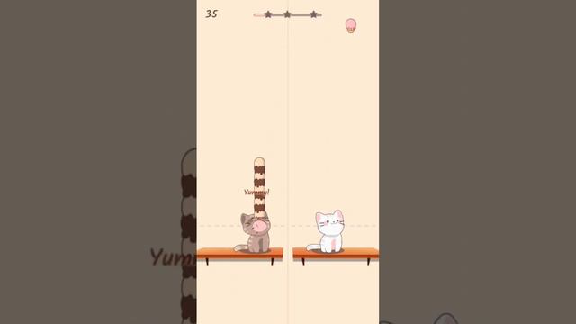 Duet cats. #cats #catssound #duet #мультик #котики #игра смотреть онлайн