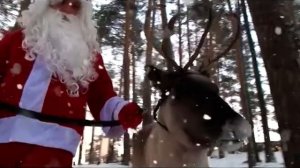 Санта Клаус vs Дед Мороз: разбираемся, в чем их главные отличия