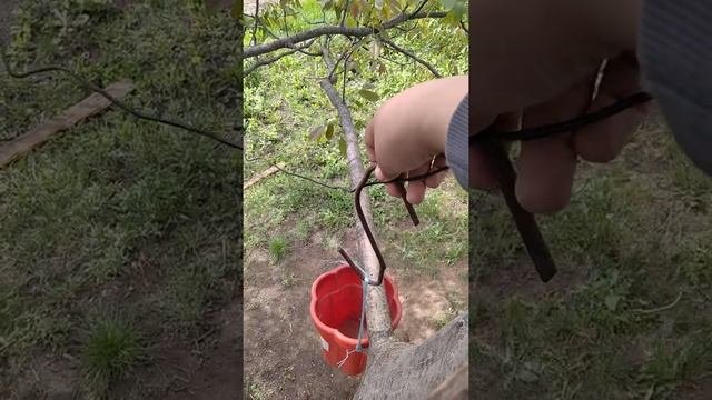 Канатная дорога для вещей за 5 минут