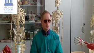 (Видео объяснение). Курс классического массажа.