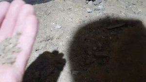 Пол по грунту в подвале