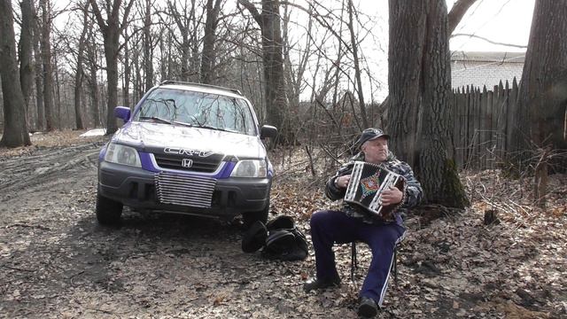 \дайте в руки мне гармонь\золотые планки\нижегор\гарм\от\самор слухач\без\муз\обр\и\аспирантур\и\но