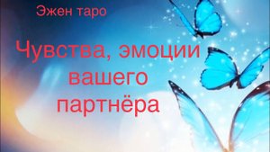 ЧУВСТВА И ЭМОЦИИ ВАШЕГО ПАРТНЁРА для женщин 4 варианта общего таро расклада