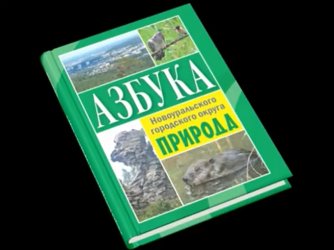Презентация книги «Азбука Новоуральского городского округа. Природа»