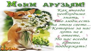 СВОИМ ДРУЗЬЯМ Друзьям посвящается Друзья спасибо что вы есть ПЕСНЯ МОИМ ДРУЗЬЯМ ТИМУР ТЕМИРОВ