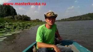 В дельте Волги
