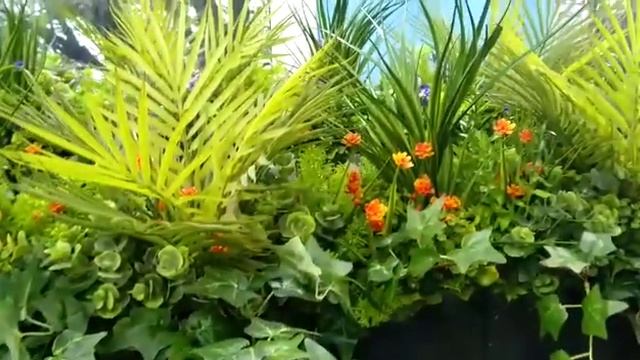 Композиции из искусственных растений. Собственное производство Квин Гарден смотреть онлайн