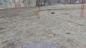 Тренировочные заезды rc rally.