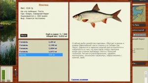 Русская рыбалка 3 ловля плотвы на уху