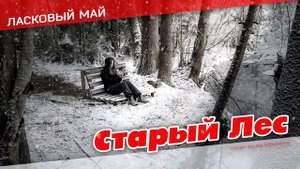 Ласковый май - Старый лес / Old forest (cover by ss-Monstre)