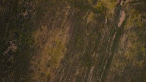 Астраханская степь