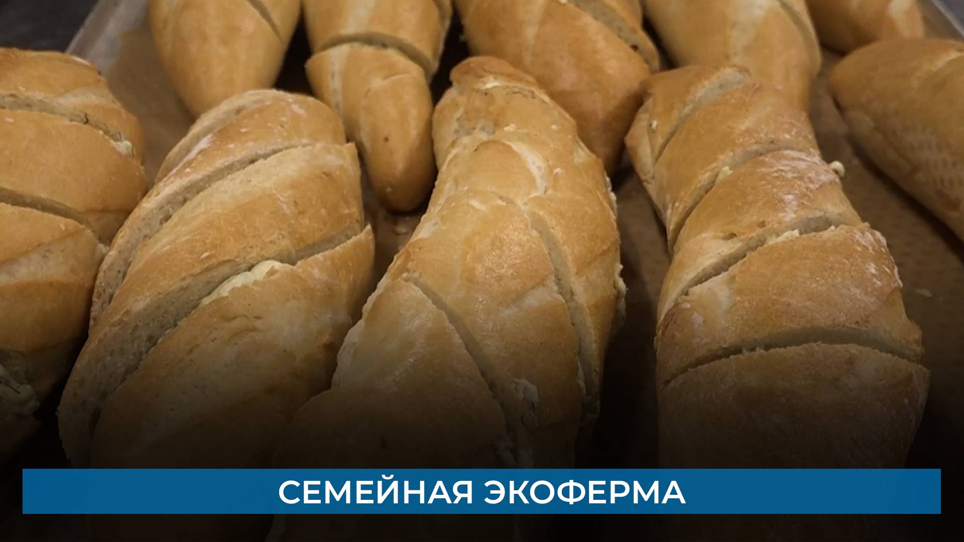 Семейная экоферма