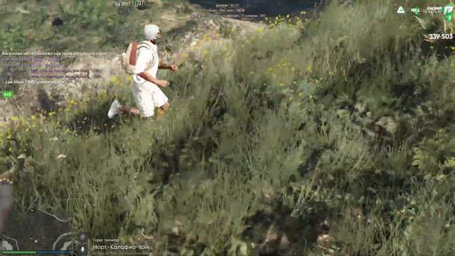 Администратор Radmir GTA 5 RP издевается над игроками сервера ! Как админы балуются Радмир РП ГТА V смотреть онлайн