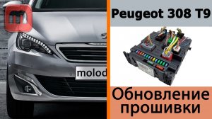 Обновление прошивки SMEG на Peugeot 308 T9