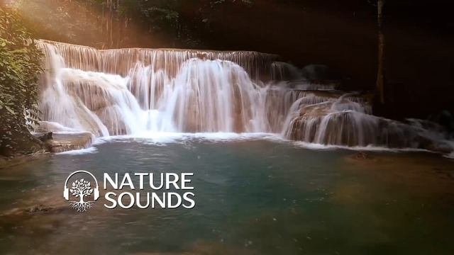 Nature Sounds Water Sounds Waterfall Sounds Yoga Music Forest Sounds Sounds Of Nature