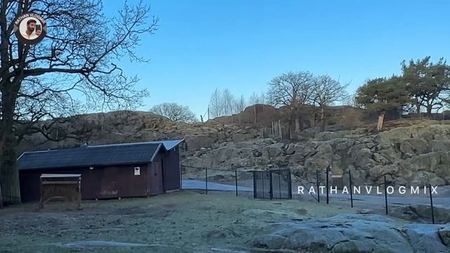 Gothenburg | Sweden | #vlog #gothenburg 27 December 2023 смотреть онлайн