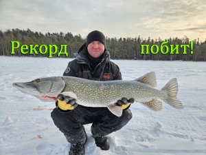 Щучий беспредел(мечта жерличника)!