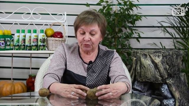 Секреты выращивания картофеля ? Подготовка к посадке ? Мастер класс HITSAD TV