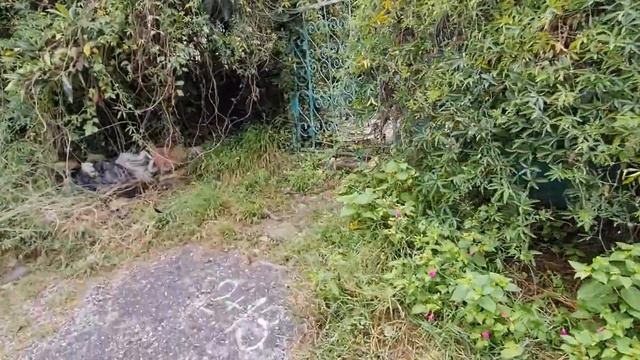 Земельный участок в Сочи р-н КСМ 9 соток смотреть онлайн