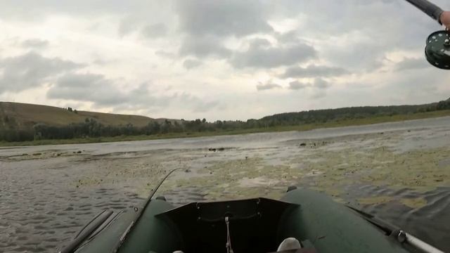 ВОТ ! Хорошие карасики подошли ! смотреть онлайн