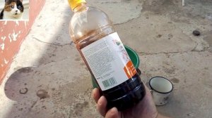 Подкормка винограда до цветения под корень  Удобрение для винограда