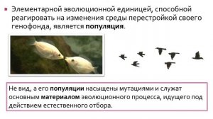 Биология 9 класс. Современные представления об эволюции органического мира