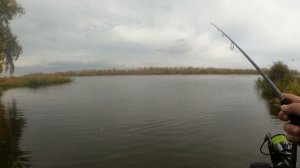 Спиннинг с берега для начинающих от начинающего!