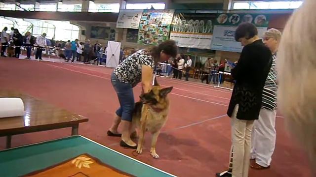 P5250035 смотреть онлайн