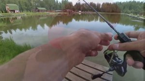 ОГРОМНЫЙ КАРП НА МИКРОДЖИГ, МОЙ РЕКОРД - РЫБАЛКА НА ПЛАТНИКЕ ультралайт