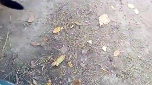 Обзор мотоцикла Москва м1