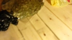 про баню и полки