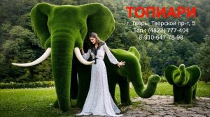 ТОПИАРИ - каталог топиари. Ландшафтные фигуры  - фото топиарий - топиарии