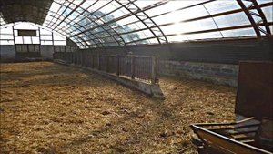 Как коровник из сотового поликарбоната может стать теплицей