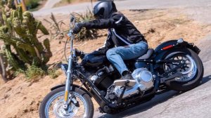 2020 Harley-Davidson Softail Standard Review (11 Fast Facts)