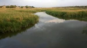 Приазовское Запорожской области речка Домузгла