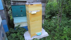 мини нук +6 от фирмы BienenHaus на высоту рамки 230 мм  - ставлю дополнительные корпуса под засев