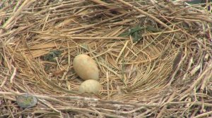 Красота природы Приморского края.