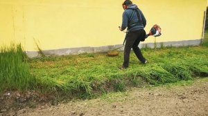 Efco ds4300tl tl akcióban. Sógi ez sokba fog neked fájni. ???