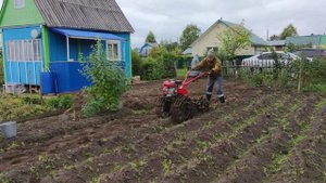 Картофелекопалка транспортерная