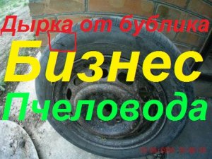 Бизнес ничего личного. Сохранить пчел или весной купить? Щурка золотистая уничтожает пчелосемьи.