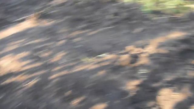 Какой урожай картошки и яблок в этом году смотреть онлайн