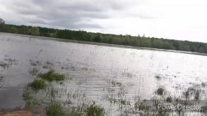 Прыгающий и плавающий Kawasaki brute force 750.