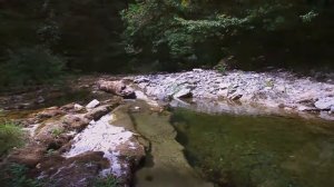 Сочи. Восточный Дагомыс 13.08.20. Кормим "форель" (рыбалка на живца). Sochi. East Dagomys trout