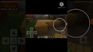 Тайна подземелья