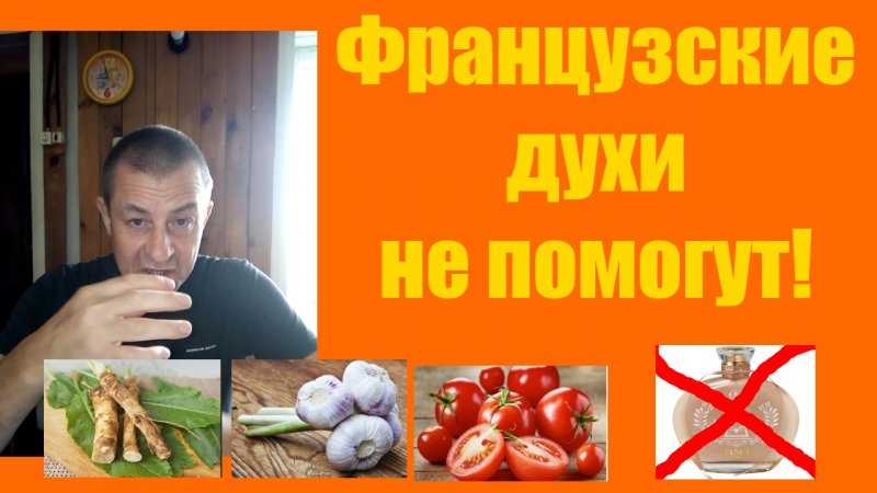 Французские духи не помогут!