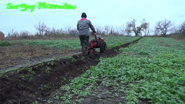 ➤ВСПАШКА ПЕРЕД МОРОЗАМИ. ЗАДЕЛКА СИДЕРАТОВ. смотреть онлайн