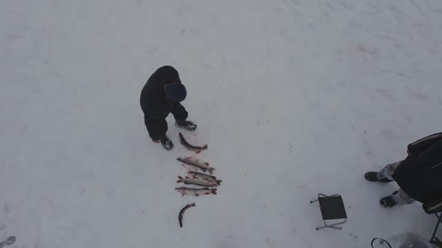 Зимняя рыбалка в 17 км от Москвы. Пробуем поймать щуку и форель! смотреть онлайн