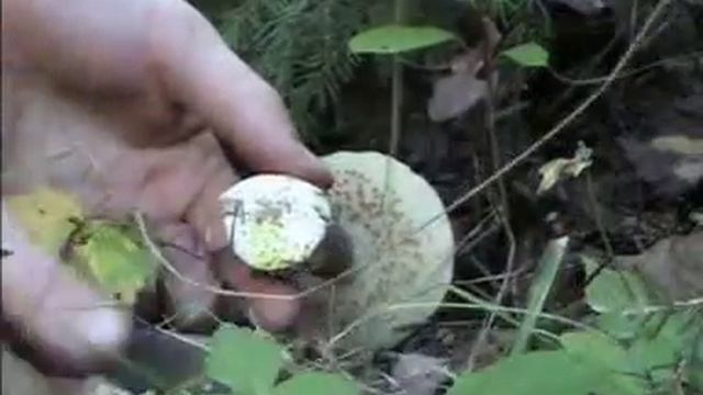 sgr180 смотреть онлайн