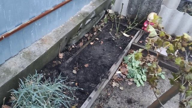 Смотреть видео онлайн