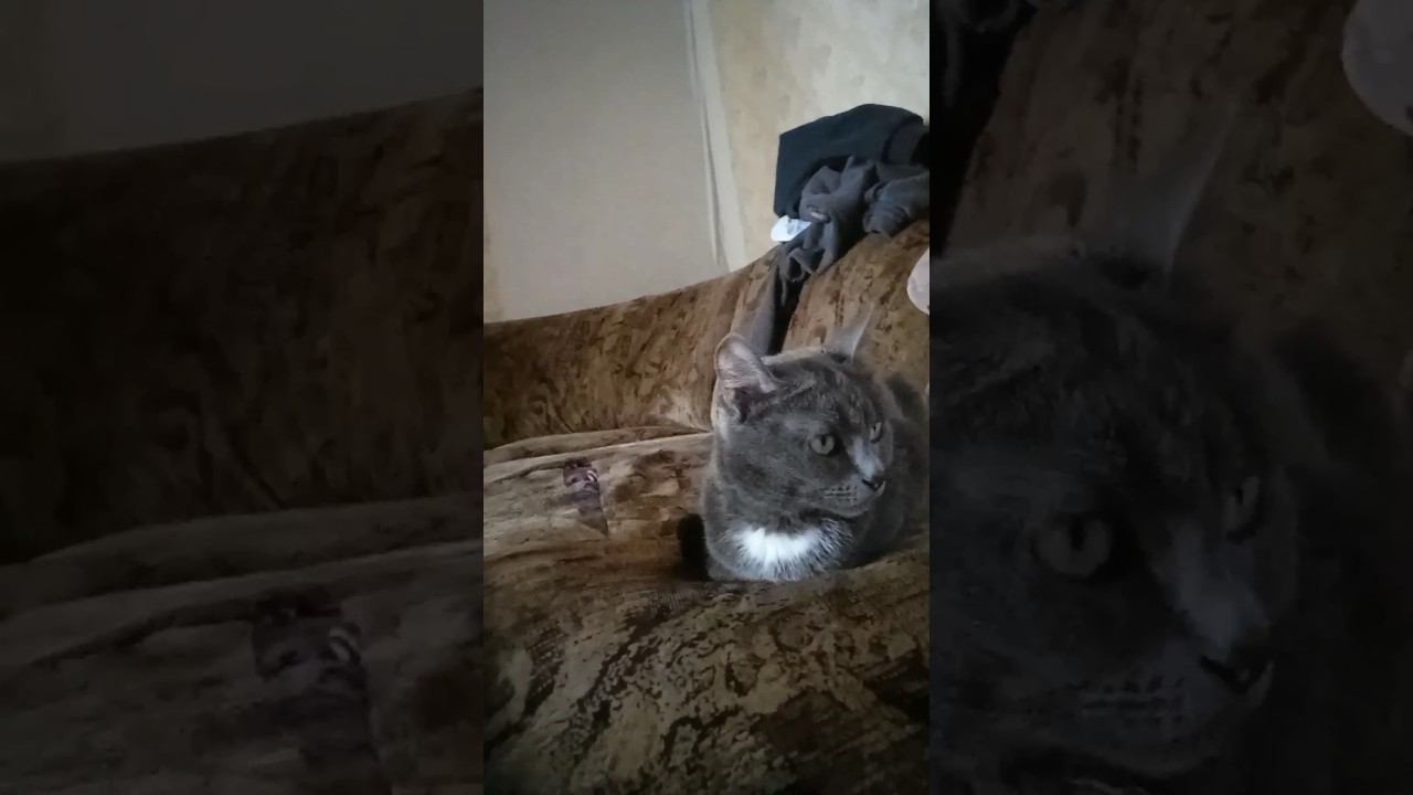 Не смешно ! смотреть онлайн